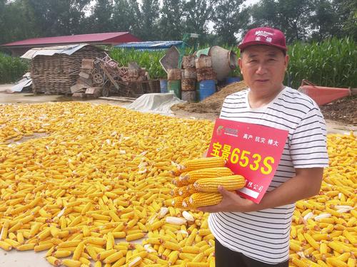 宝景653s,玉米中的plus【2020】