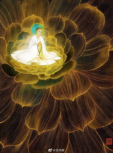 [cp]红尘不染,清净无为 作者@鹿菏he