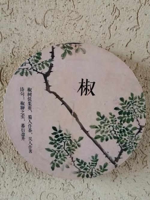 其它 诗经里的诗 写美篇椒聊-诗经 椒聊之实,蕃衍盈升.