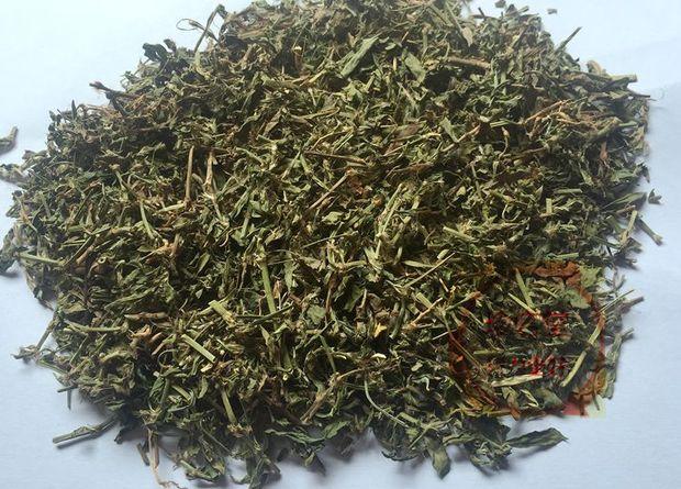 中药材批发 新货扁蓄 扁蓄草 地扁蓄 牛鞭草牛筋草500