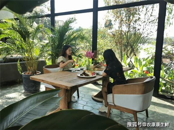 重庆铜梁民宿推出荷花宴 用荷花做出几十种美食_原乡