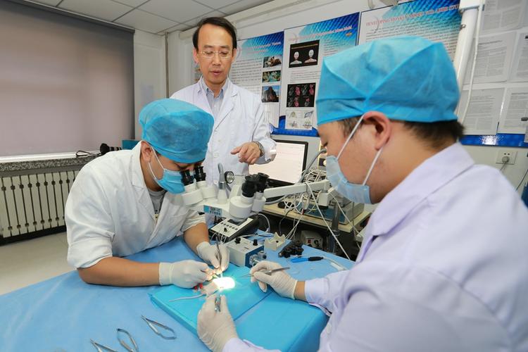 这到底是重大科学进步还是空李丽莎博士穿梭仪李丽莎博士简介 车祸