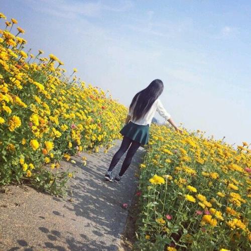 夏暖 情侣头像 我们要在一起 花田