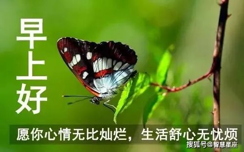 原创8月28日秋天来了清晨早上好唯美动态祝福图片带字早晨微信问候