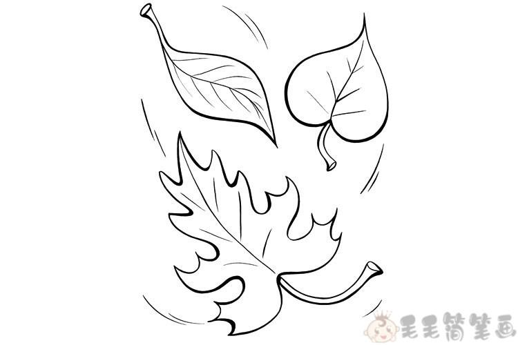 漂亮的树叶简笔画枫叶儿童简笔画