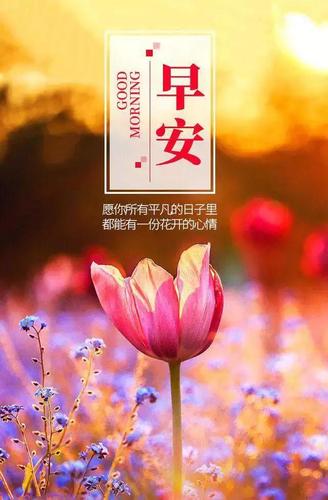 一个人必须面向未来,想着要着手做的事情,早安!
