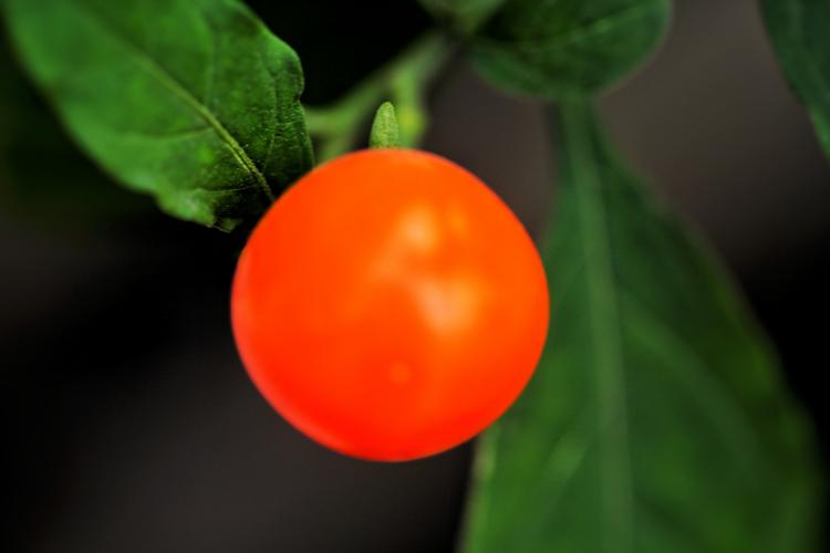 入选大片时代摄影作品集锦(五)