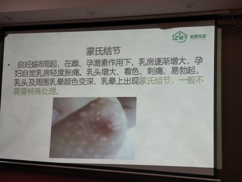 乳房结构,泌乳,母乳成分