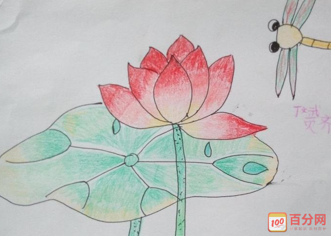 小学生绘画作品荷花