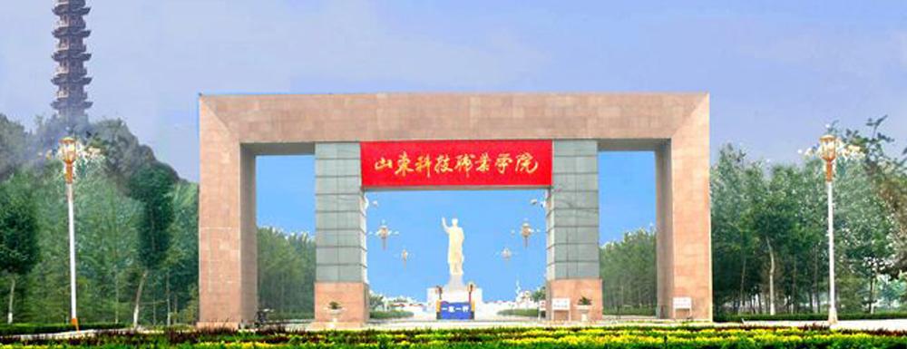山东科技职业学院2021录取查询官方入口