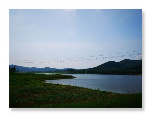 去双阳肚带河赏油菜花