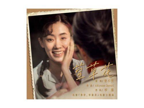 张小斐《萱草花》soundtrack原声带上线,讲述母亲对孩子至深牵挂