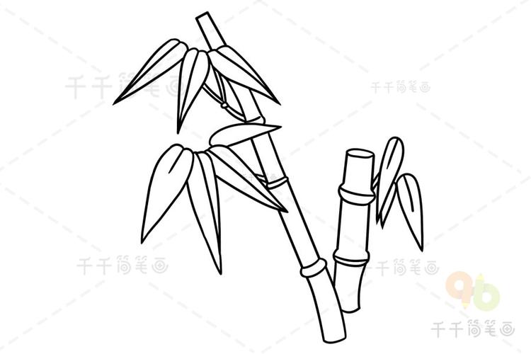 可爱竹子的简笔画_竹子简笔画