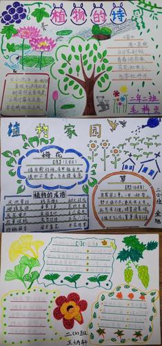与植物有关的诗歌手抄报 诗歌手抄报