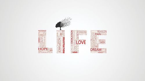 寻找一个桌面壁纸life 生活