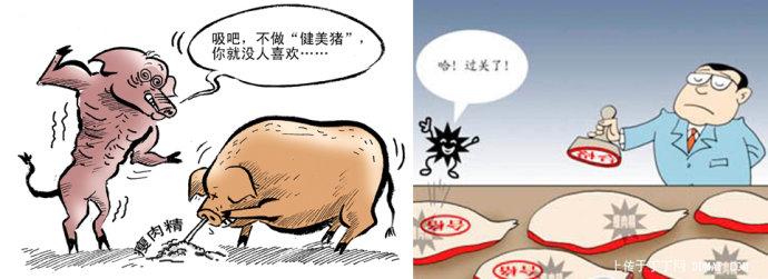 [转载]瘦肉精重出江湖说明什么?