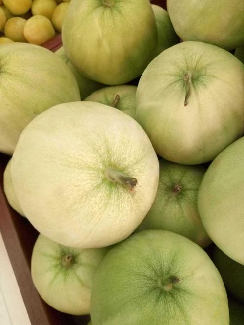 6月发货原汁原味自种本地梨瓜香瓜菜瓜一份5斤湖南赤山绿阴瓜热销推荐