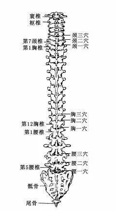 240_435竖版 竖屏