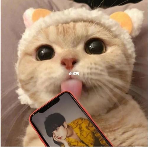 奇奇怪怪的情头又增加了_博君一肖_素材_头像