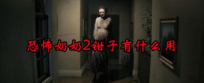 恐怖奶奶2钳子作用