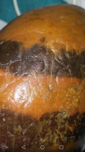 福建寿山乌鸦皮田黄原石