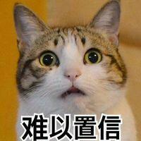 表情包 难以置信 喵星人 搞笑 可爱 斗图 表情 装逼 撕逼 撩妹 逗比