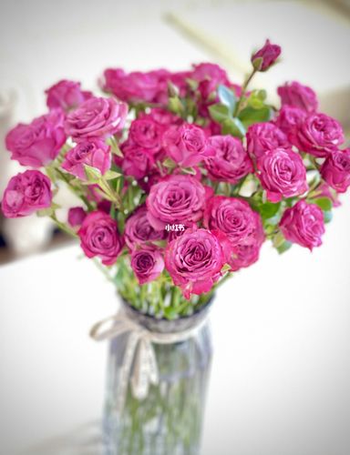 多头玫瑰95(泡泡)～虚幻_鲜花_花瓶_紫色系_鲜花分享_家居家装_家居