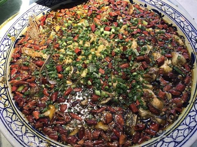 新概念来凤鱼来凤鱼图片 - 第3张