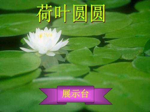 14一年级语文下册_荷叶圆圆_ppt课件_(11)14