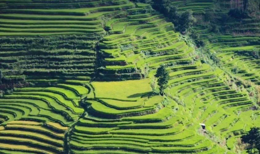 云南健身步道元阳梯田