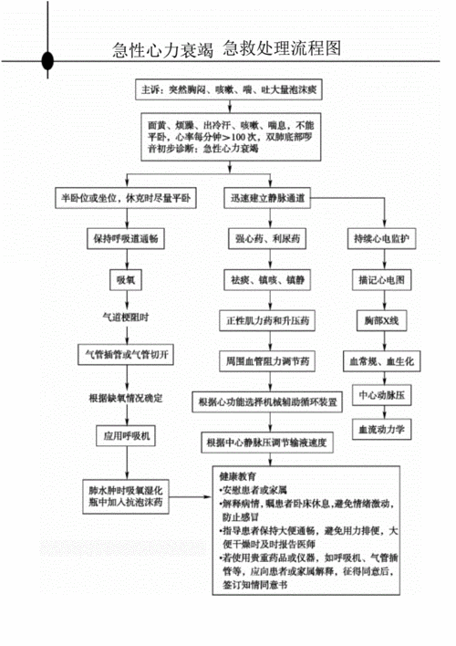 急性心力衰竭急救处理流程图.pdf 1页
