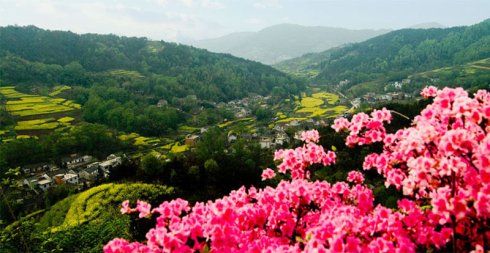 李白《宣城见杜鹃花》赏析