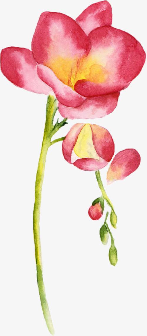 粉红色,花朵,水彩,温馨,粉色,水彩花免费下载