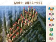新野建业森林半岛