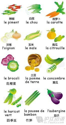 电子词典推荐_【趣味单词】疯狂的蔬菜_沪江英语