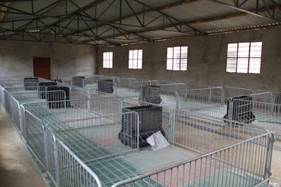 北方猪舍排粪设计图展示