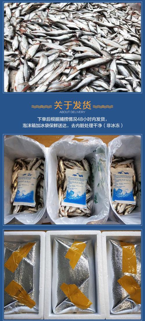 淡水杂鱼丨小餐条5斤装丨冰鲜送达(非冰冻)每周五发货