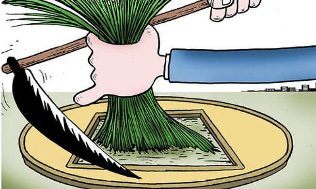 资本如何割韭菜