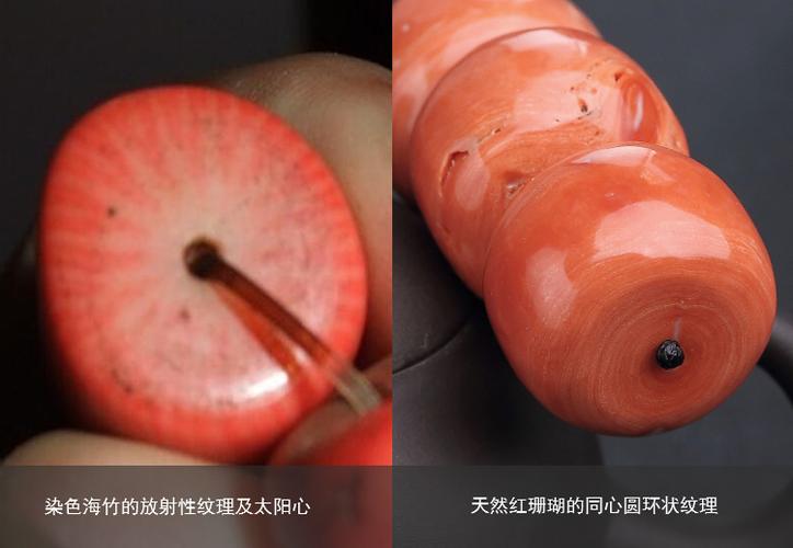 真假红珊瑚鉴别图,天然红珊瑚鉴别方法的特点
