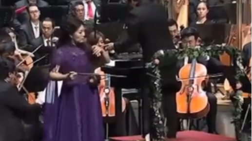 二胡名曲欣赏《二泉映月》,民乐皇后宋飞现场演奏