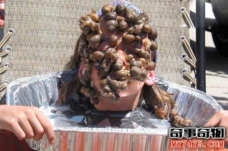 世界上最恶心的美容方法,韩国蟑螂敷脸面膜