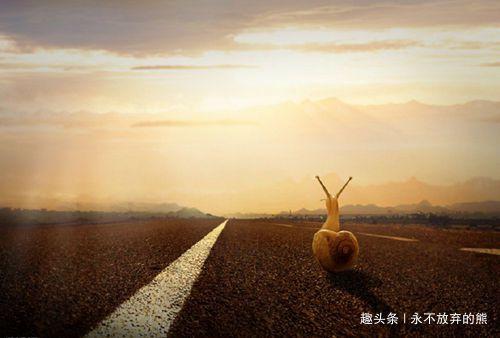 成功路上的黄金分割