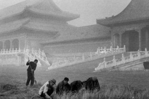 老照片:最真实的晚清帝国,紫禁城杂草丛生,官员"萎靡不振"!