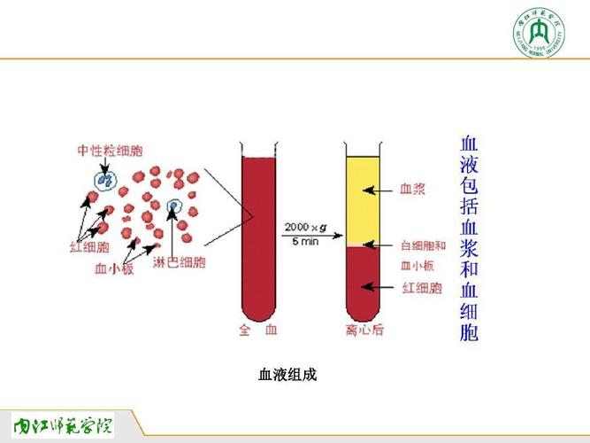 动物生理学实验二 鱼类采血技术与血细胞生理分析ppt