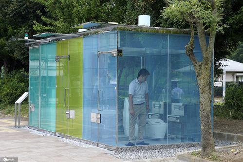 当地时间2020年8月5日,日本东京涩谷,当地一公园出现3个透明厕所,分别