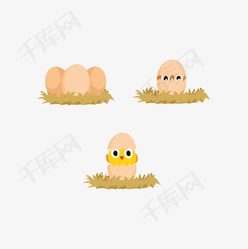 小鸡孵化简笔画