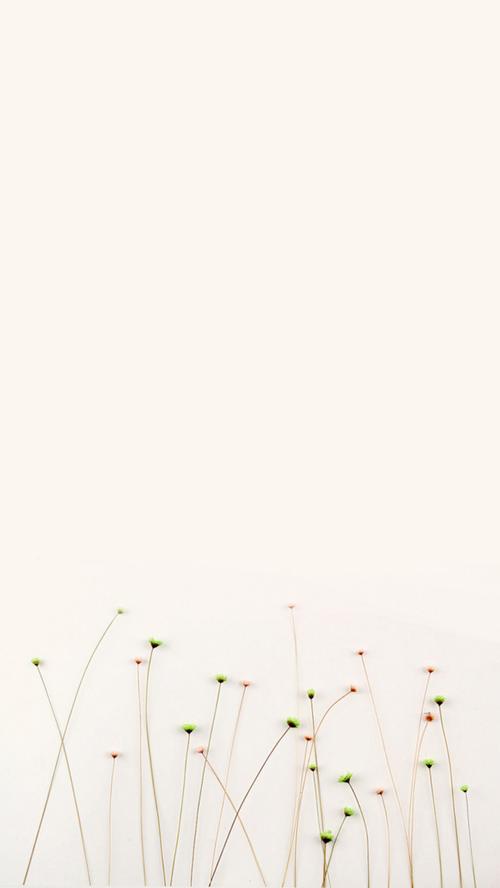 简约小清新h5背景