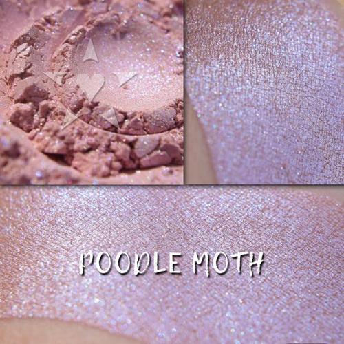 weird & wonderful creatures: july gwp: poodle moth