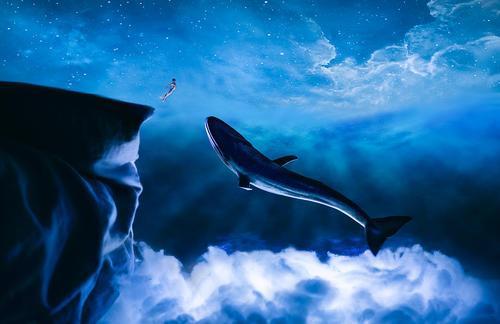 鲸鱼和鲸落的手抄报 手抄报模板大全