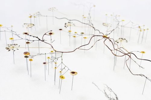 枝微末节隐含的生命脉络:花艺工匠 anne ten donkelaar